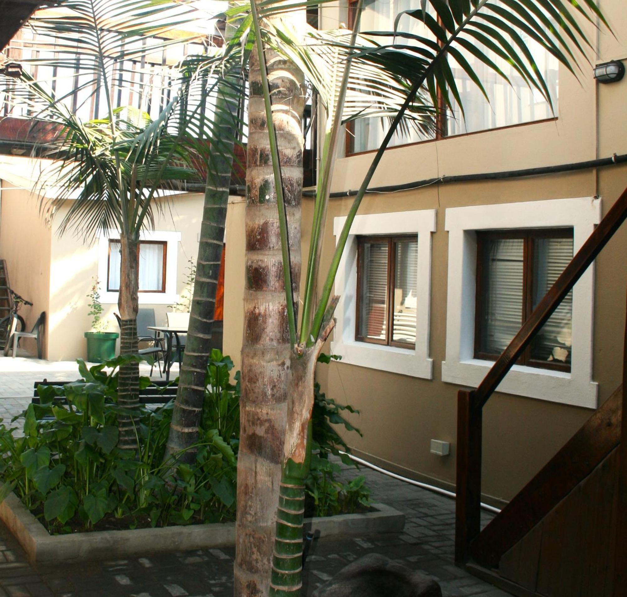 The Residence At Villa Wiese 스바코프문트 외부 사진